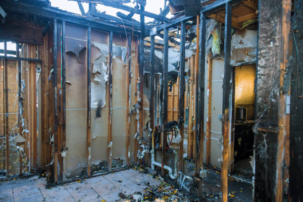 Professional Smoke Damage Removal technician working in Florence, AZ